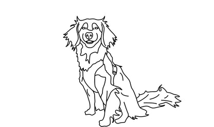 Gepersonaliseerde Trui van Huisdier